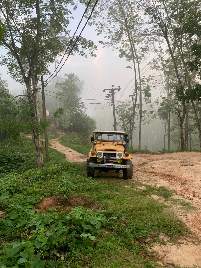 Adventure vehicle driving on misty forest trails
